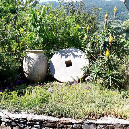 L'Antico Frantoio Villa Rapallo Eksteriør billede