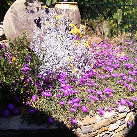 L'Antico Frantoio Villa Rapallo Eksteriør billede