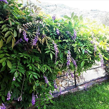 L'Antico Frantoio Villa Rapallo Eksteriør billede