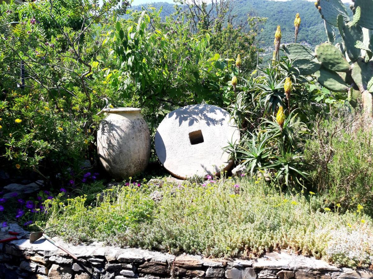 L'Antico Frantoio Villa Rapallo Eksteriør billede