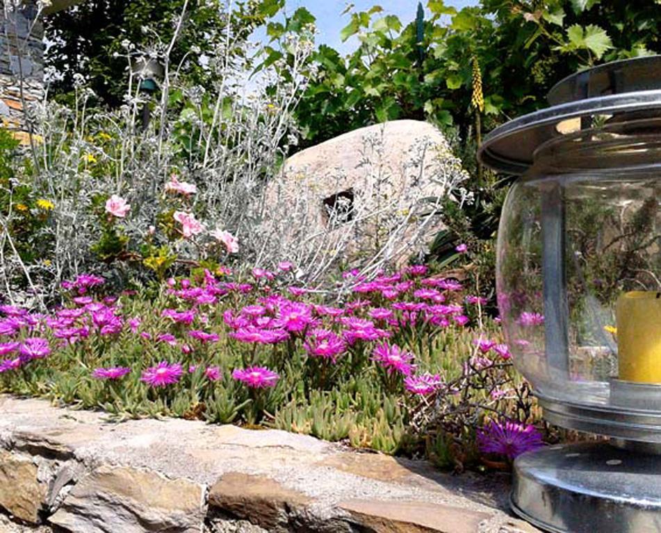 L'Antico Frantoio Villa Rapallo Eksteriør billede