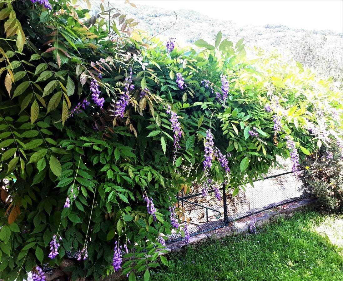 L'Antico Frantoio Villa Rapallo Eksteriør billede